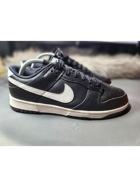 used Nike dun low 9M
